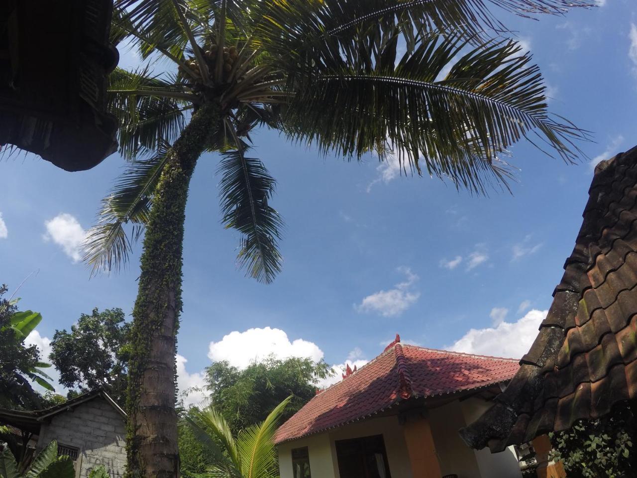 Dipa Home Stay Ubud Exterior foto