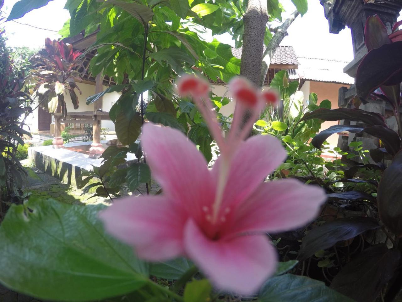 Dipa Home Stay Ubud Exterior foto